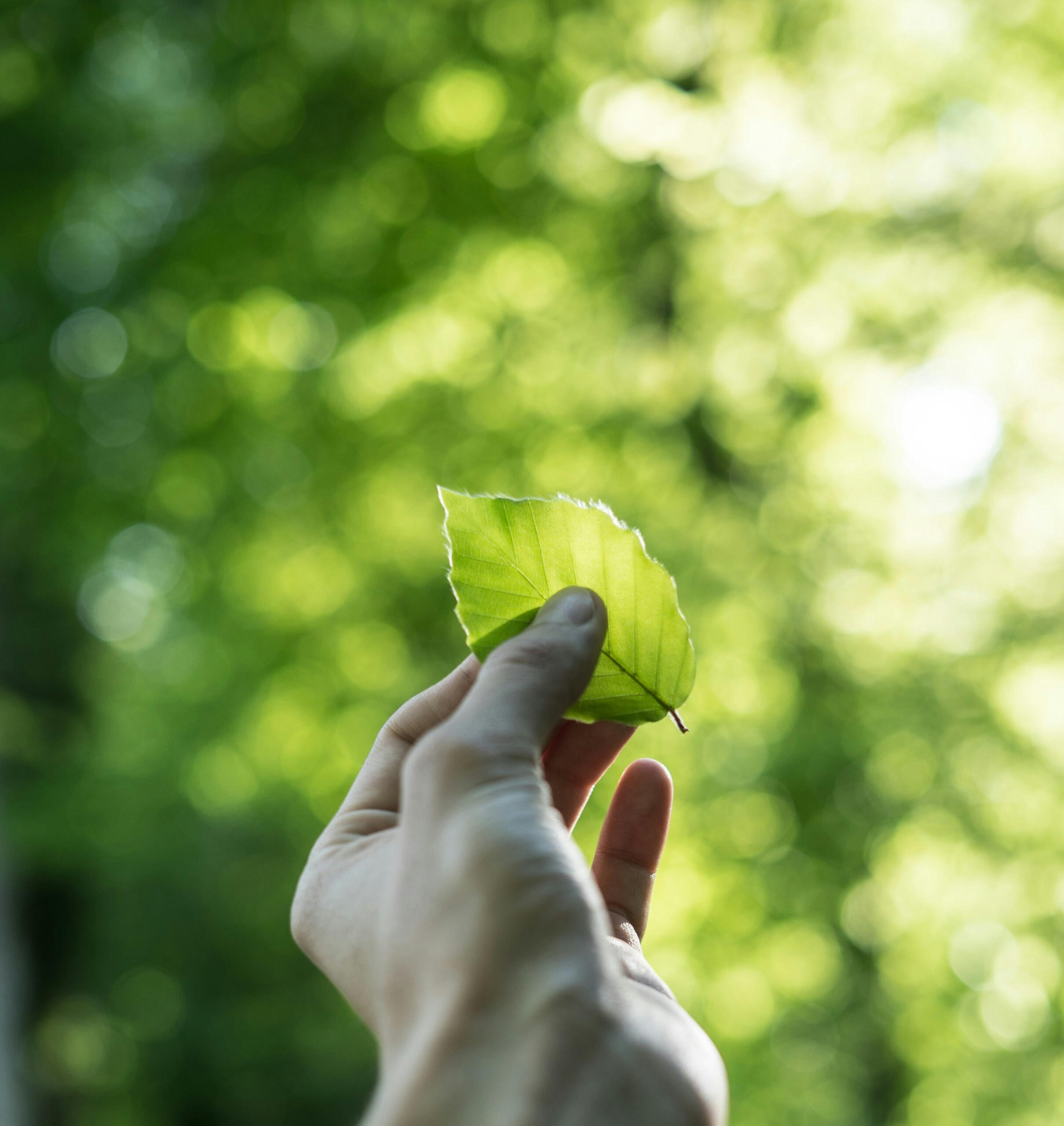 ESG compliance solutions Carbon footprint tracking